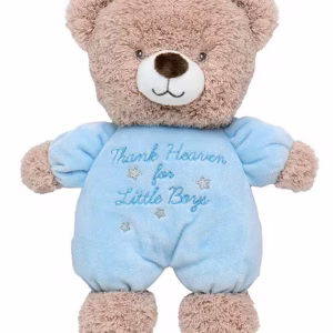 Baby Boys Thank Heaven For Little Boys Plush Bear